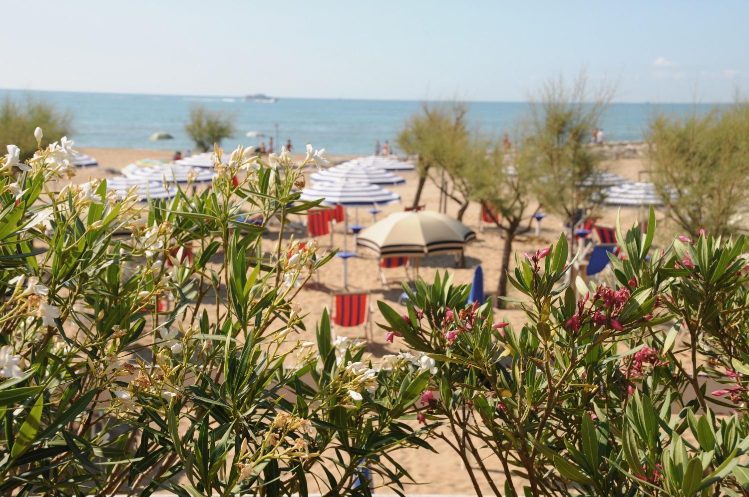 Hotel Fenix Cavallino-Treporti Zewnętrze zdjęcie